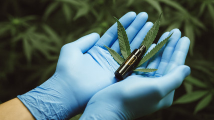 Kanabinoidna klinika